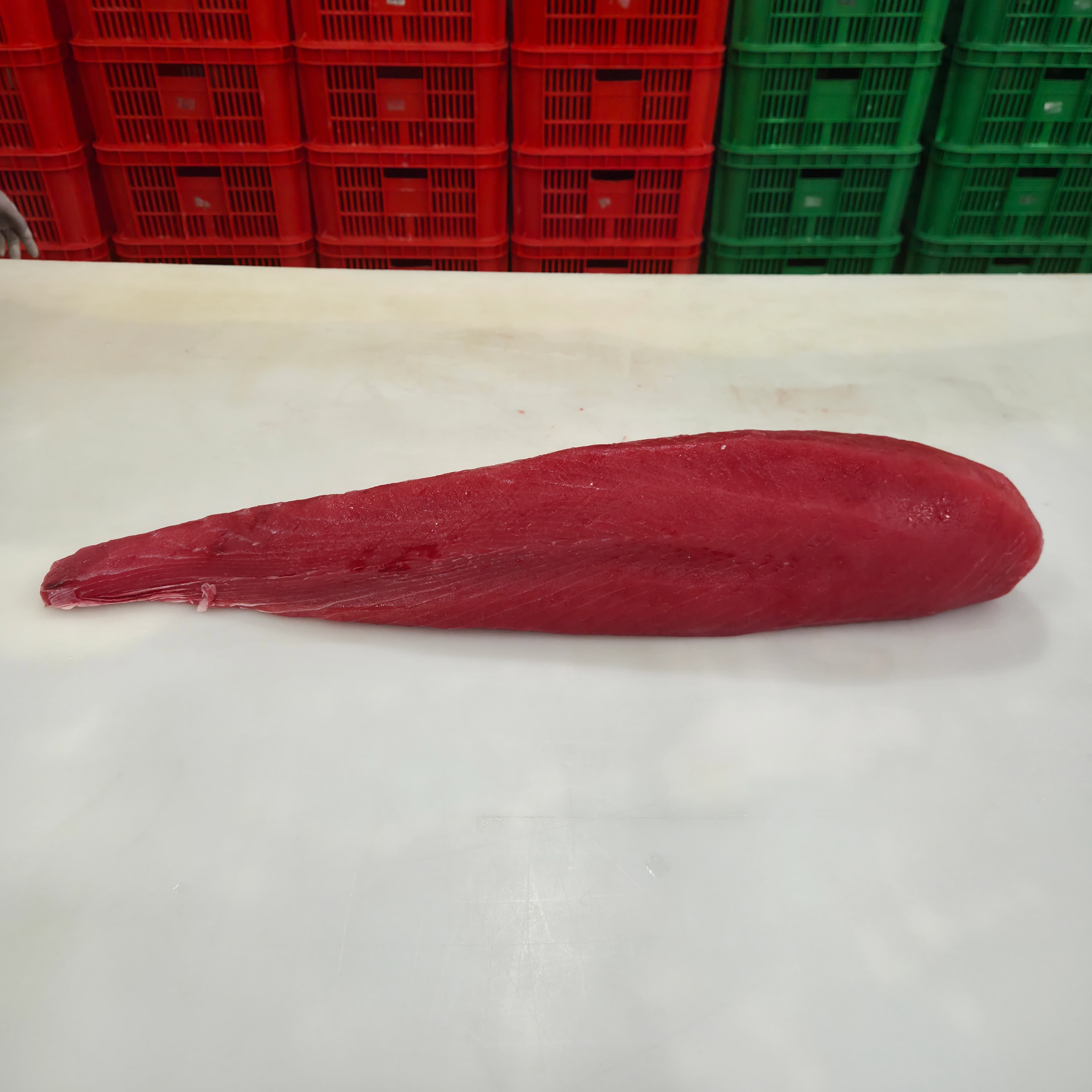 Tuna Loin