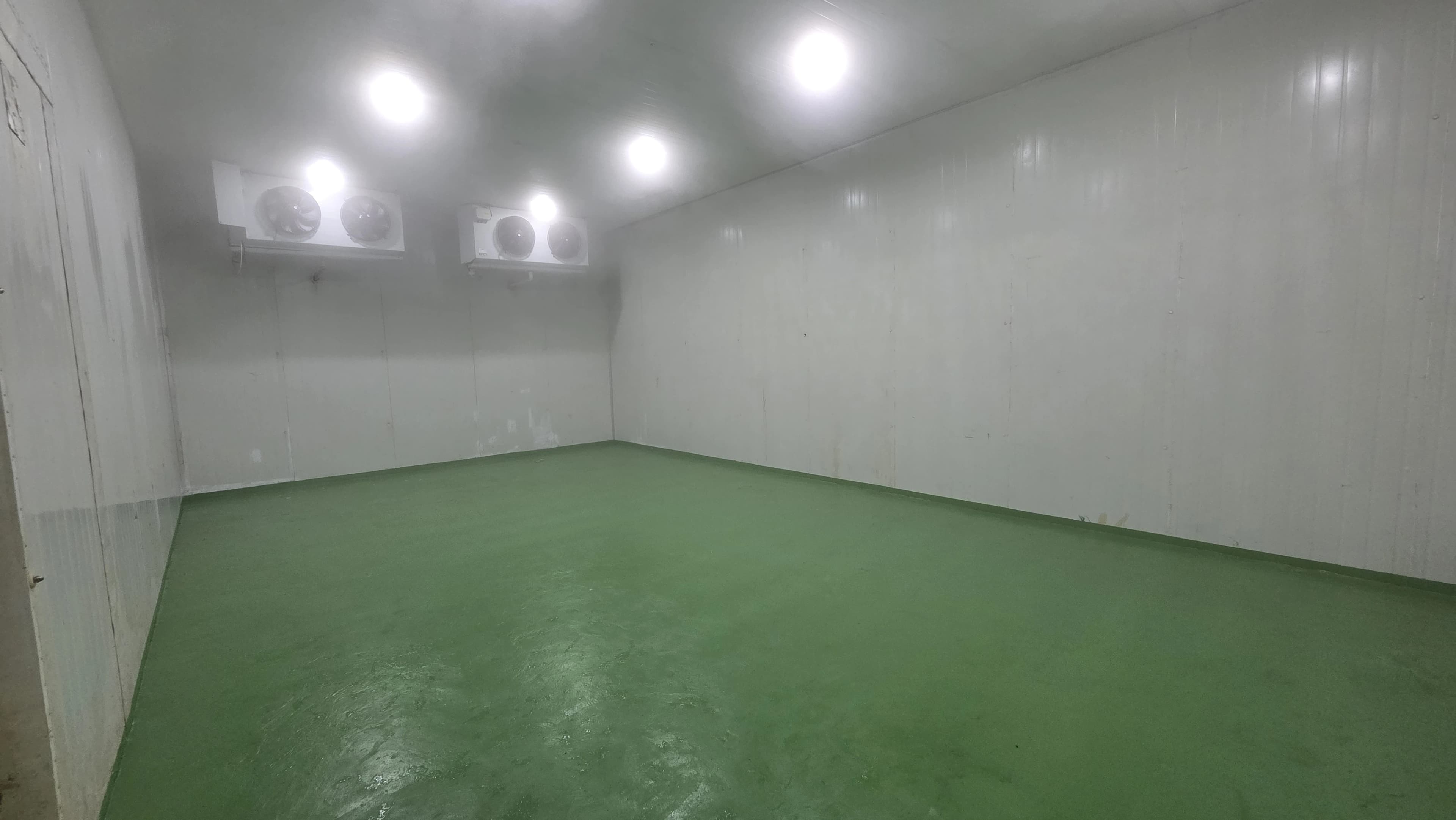 Cold storage room for tuna products